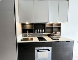 Haus On Handy (D9), Condominium #593381331